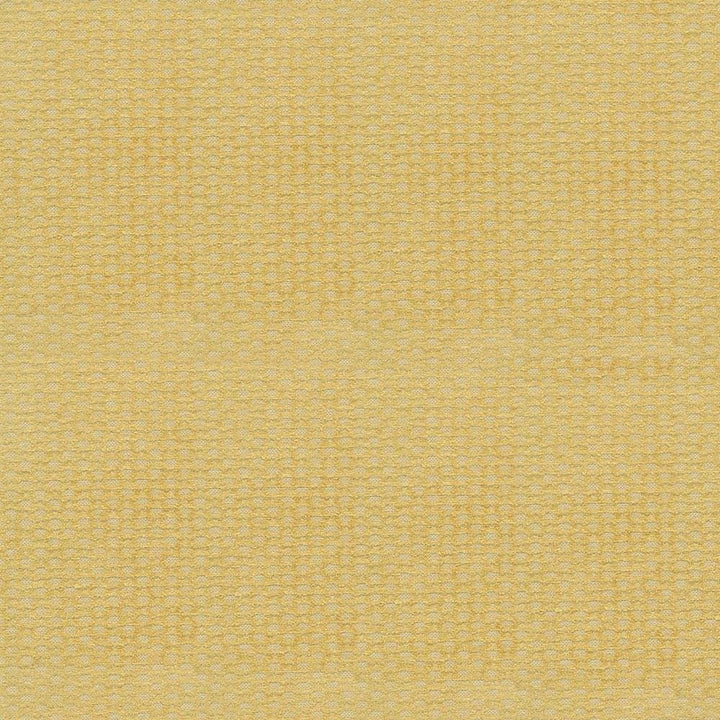 Favell Mica  by Kasmir Fabric See sample 44% Rayon
33% Polyester
23% Cotton
 CHINA 12,000 Wyzenbeek Double Rubs </p><p>Repeat: Horizontal: 6/8 inches and Vertical: 4/8 inches 55  - Fabric Carolina -