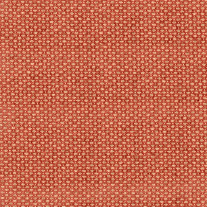 Favell Sunstone by Kasmir Fabric 1417 44% Rayon
33% Polyester
23% Cotton
 CHINA 12,000 Wyzenbeek Double Rubs </p><p>Repeat: Horizontal: 6/8 inches and Vertical: 4/8 inches 55 - Fabric Carolina -