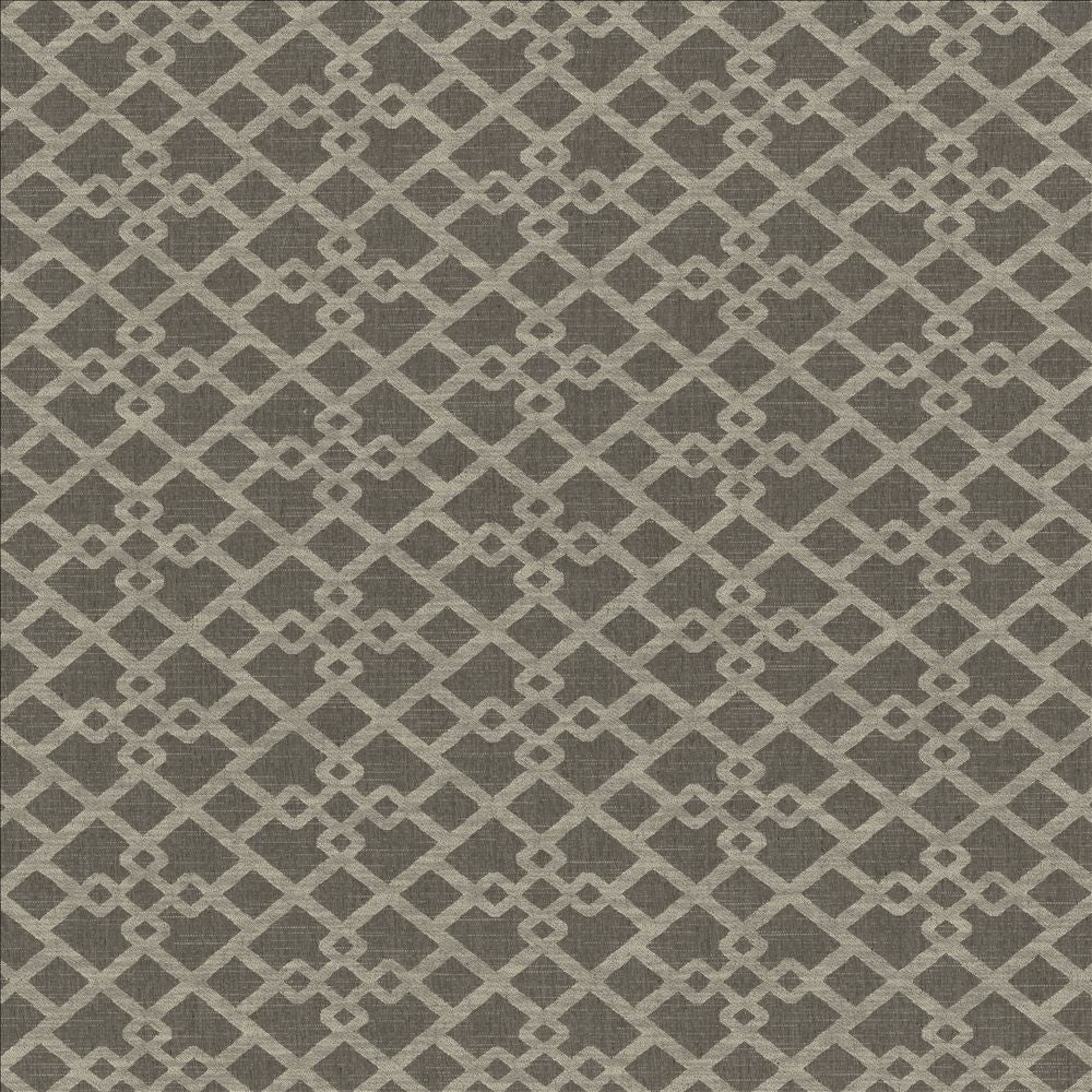 Favored Greystone by Kasmir Fabric 1466 60% Polyester
40% Cotton
 INDIA </p><p>Repeat: Horizontal: 13 6/8 inches and Vertical: 6 4/8 inches 54 - Fabric Carolina -