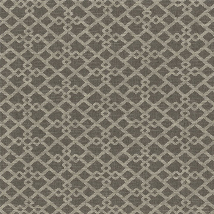 Favored Greystone by Kasmir Fabric 1466 60% Polyester
40% Cotton
 INDIA </p><p>Repeat: Horizontal: 13 6/8 inches and Vertical: 6 4/8 inches 54 - Fabric Carolina -