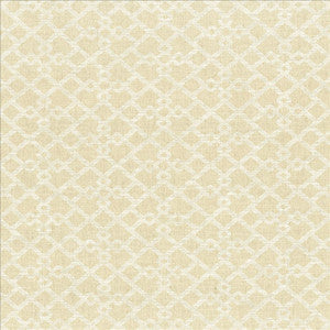 Favored Linen by Kasmir Fabric