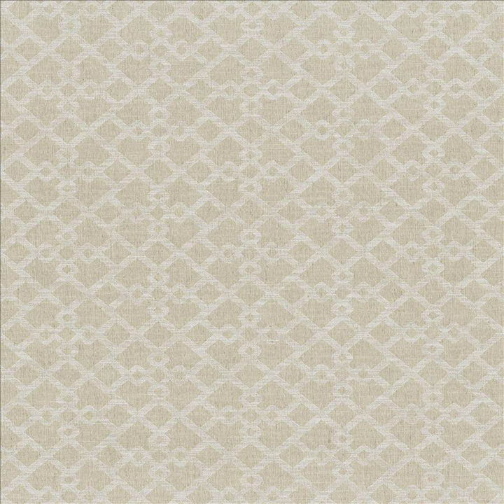 Favored Linen by Kasmir Fabric 1466 60% Polyester
40% Cotton
 INDIA </p><p>Repeat: Horizontal: 13 6/8 inches and Vertical: 6 4/8 inches 54 - Fabric Carolina -