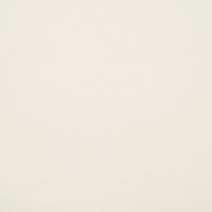 10200-0025 Capriccio Salt by Sunbrella Fabric Sunbrella Horizon Capriccio Marine Upholstery Sunbrella® Engineered Leather USA or Imported 5-Year, 3-Year Microbial Pink Staining Horizontal: and Vertical: 54 in. - Fabric Carolina -