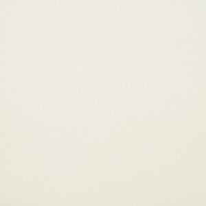 10200-0025 Capriccio Salt by Sunbrella Fabric