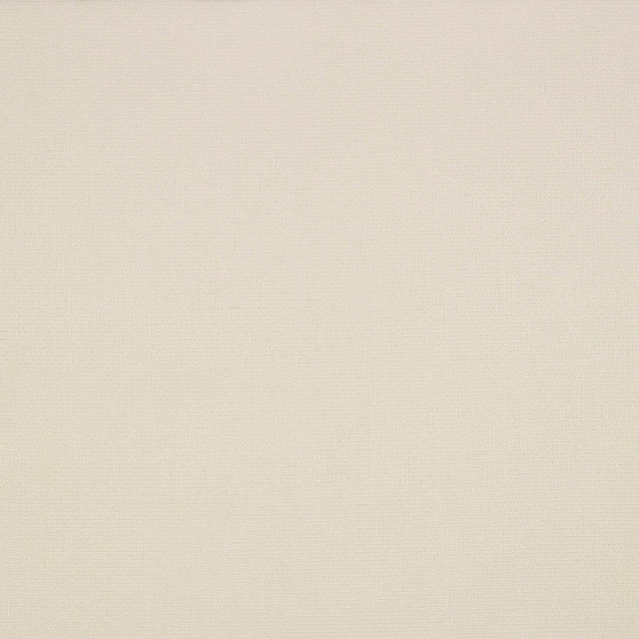 SAV2 J235 140 Savane White by Sunbrella Designer Fabric Sunbrella European Sunbrella® Acrylic, Sunbrella® Polyester USA or Imported 5-Year Horizontal: and Vertical: 55 in. - Swanky Fabrics -