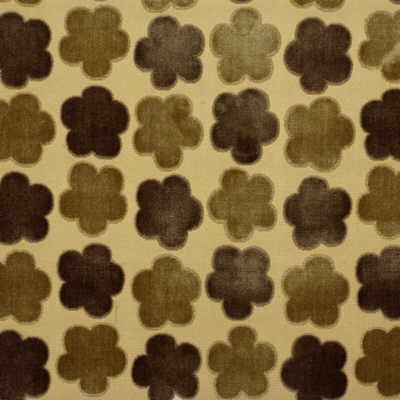 Aster Velvet Sand/Co by Mulberry Fabric
