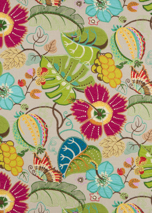 ***Bf10565 2 by G P & J Baker Fabric