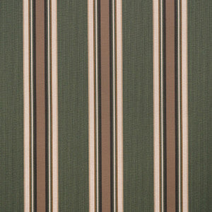 4801 Emblem Fern by Sunbrella Fabric