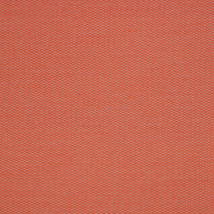 40421-0005 Pique Guava by Sunbrella Fabric Sunbrella Fusion Sunbrella® Acrylic, Sunbrella® Polyester USA or Imported 5-Year Horizontal: and Vertical: 60 yd. 54 in. - Fabric Carolina -