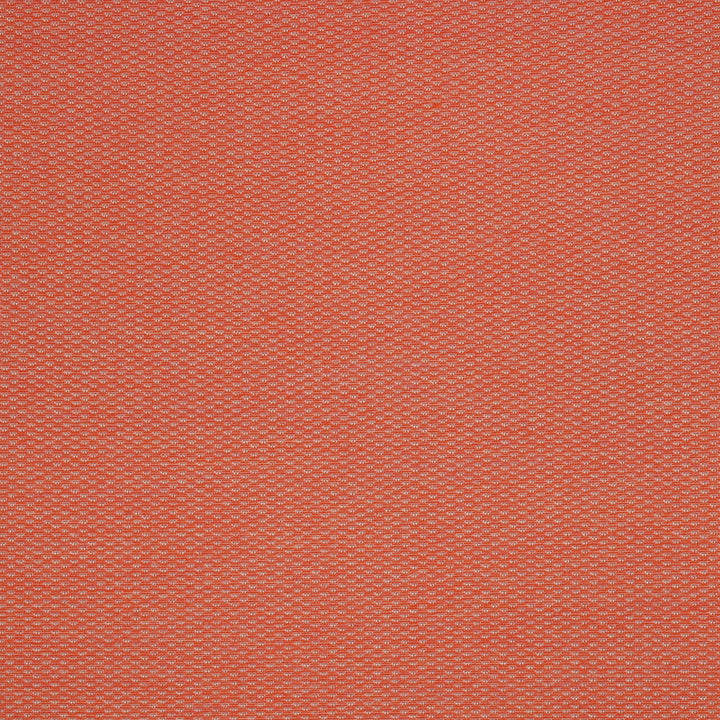 40421-0005 Pique Guava by Sunbrella Fabric Sunbrella Fusion Sunbrella® Acrylic, Sunbrella® Polyester USA or Imported 5-Year Horizontal: and Vertical: 60 yd. 54 in. - Fabric Carolina -