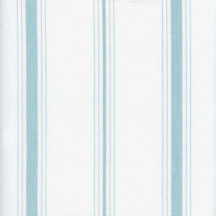 Fenwick Aqua By Roth & Tompkins Fabric