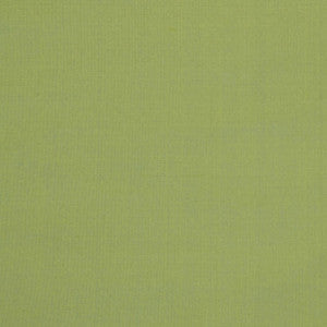 Silk II Ahmednagar by Mitchell Fabric