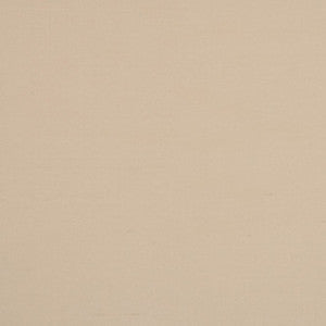 Silk II Bikaner by Mitchell Fabric