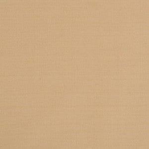 Silk II Ahmadabad by Mitchell Fabric