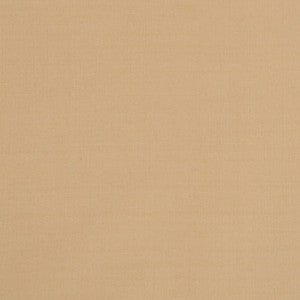 Silk II Ahmadabad by Mitchell Fabric