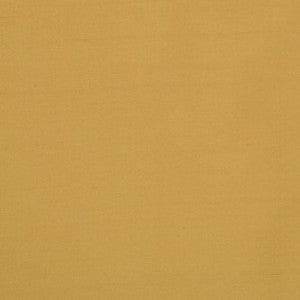 Silk II Kathmandu by Mitchell Fabric