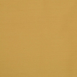 Silk II Kathmandu by Mitchell Fabric
