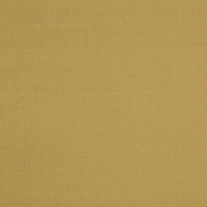 Silk II Seoni by Mitchell Fabric