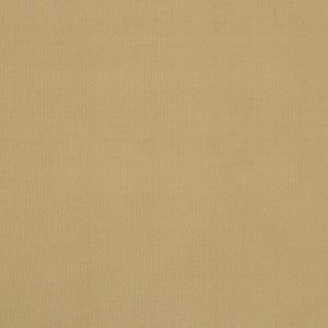 Silk II Khajuraho by Mitchell Fabric
