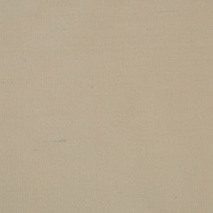 Silk II Coimbatore by Mitchell Fabric