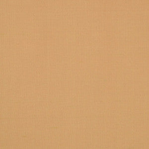 Silk II Kanchipuram by Mitchell Fabric