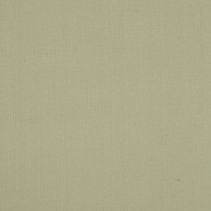 Silk II Guntur by Mitchell Fabric