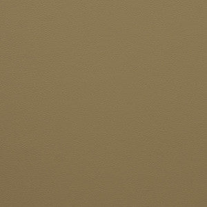 Force Latte by Mitchell Fabric