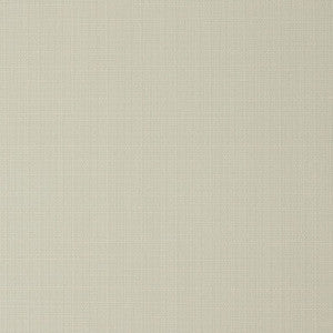 Strong Salt by Mitchell Fabric