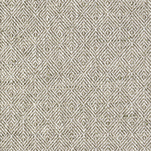 Monical Grassland by Mitchell Fabric