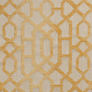 Parkview Coin by Mitchell Fabric