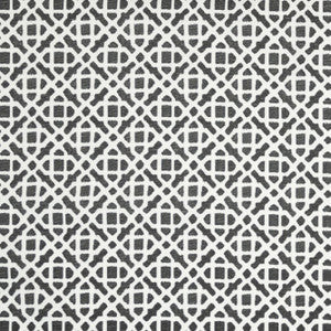 Rayan Charcoal by Mitchell Fabric