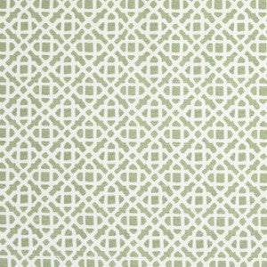 Rayan Juniper by Mitchell Fabric