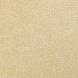 Carsen Straw by Mitchell Fabric