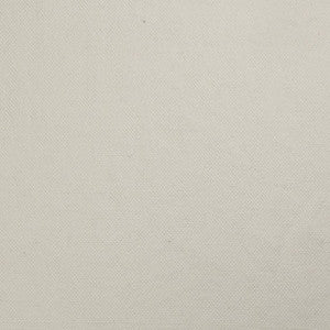 Worthy Canvas by Mitchell Fabric