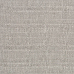 Jubilant Silver by Mitchell Fabric