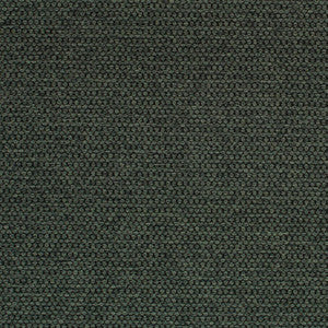 Sampson Spruce by Mitchell Fabric