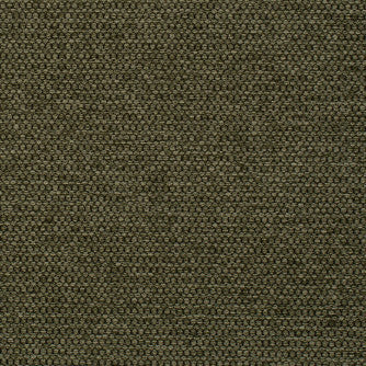 Sampson Turtle by Mitchell Fabric #2308 90% Poly, 10% Nylon with Alta DWR PFAS-Free finish Imported </p><p>Repeat: Horizontal: and Vertical: 55 - Fabric Carolina -
