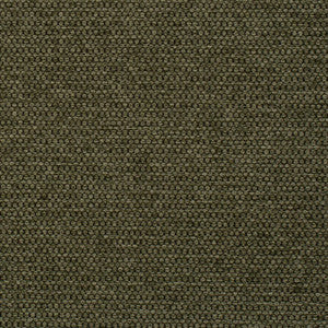 Sampson Turtle by Mitchell Fabric
