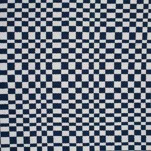 Champ Denim by Mitchell Fabric