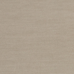 Comfy Light Grey by Mitchell Fabric