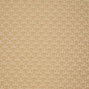 Radiant Gold by Mitchell Fabric