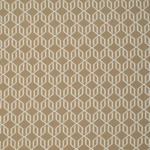 Taproot Coffee by Mitchell Fabric