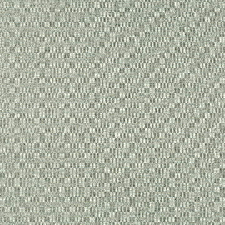 Exhale Rainwashed 400001-0004 by Sunbrella Designer Fabric 98.7% Sunbrella® Acrylic, 1.3% Sunbrella® Polyester 15000 Horizontal: and Vertical: 54 in. - Swanky Fabrics -