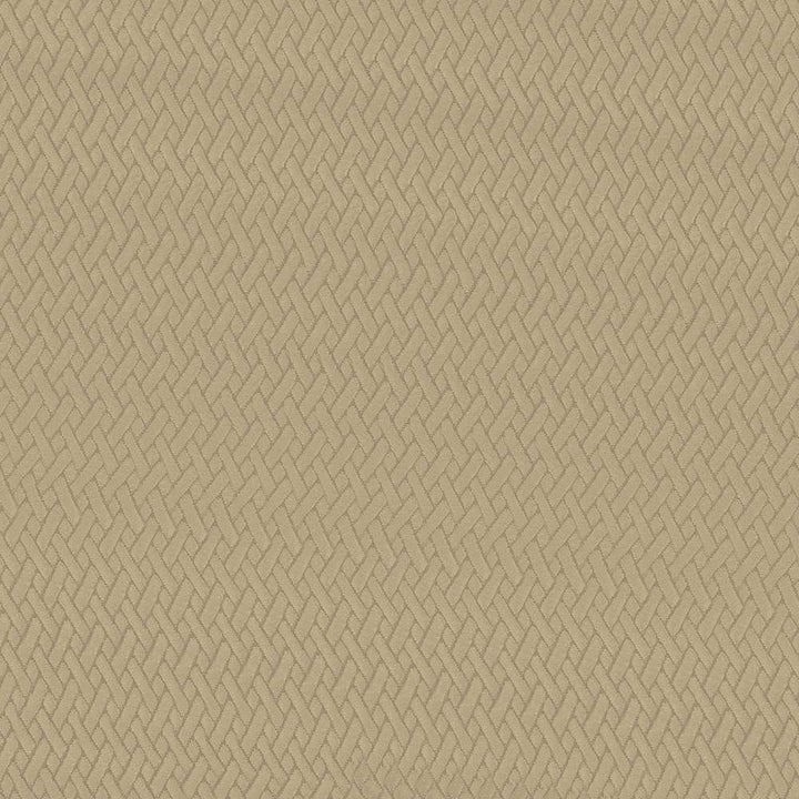 Fidelio Camel by Kasmir Fabric 5093 100% Polyester CHINA 60,000 Wyzenbeek Double Rubs H: 1 inches, V:1 inches 56 - Fabric Carolina - Kasmir