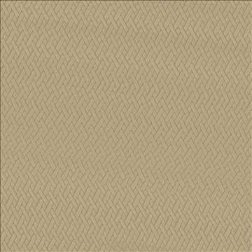 Fidelio Camel by Kasmir Fabric 5093 100% Polyester CHINA 60,000 Wyzenbeek Double Rubs H: 1 inches, V: 1 inches 56 - Fabric Carolina - Kasmir