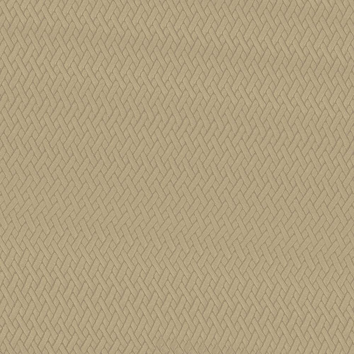 Fidelio Camel by Kasmir Fabric 5093 100% Polyester
 CHINA </p><p>Repeat: Horizontal: 1 inches and Vertical: 1 inches 56 - Fabric Carolina -