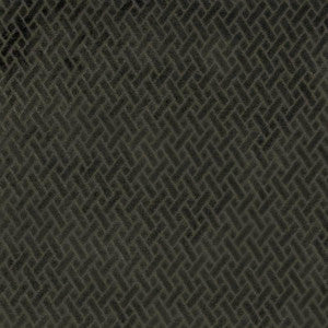 Fidelio Charcoal by Kasmir Fabric