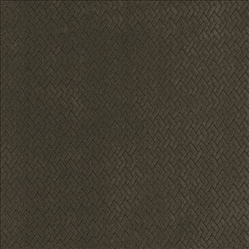 Fidelio Chocolate by Kasmir Fabric 5101 100% Polyester CHINA 60,000 Wyzenbeek Double Rubs H: 1 inches, V: 1 inches 56 - Fabric Carolina - Kasmir