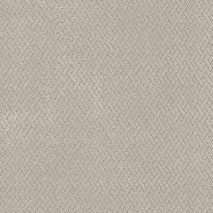 Fidelio Mushroom by Kasmir Fabric 5092 100% Polyester CHINA 60,000 Wyzenbeek Double Rubs H: 1 inches, V:1 inches 56 - Fabric Carolina - Kasmir