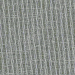 Pointer Smoke by Carole Fabric
